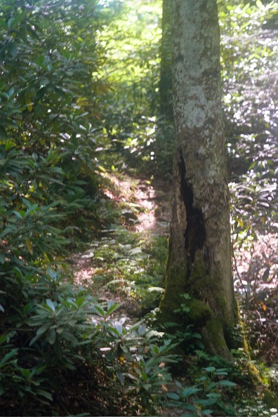 Gladie Creek &amp; Red River